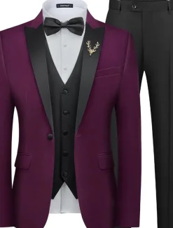 Men's Wedding Party Suits Notch Lapel Burgundy Grape Fashion Formal Solid Colored Standard Fit 3 Piece Single Breasted Two-buttons