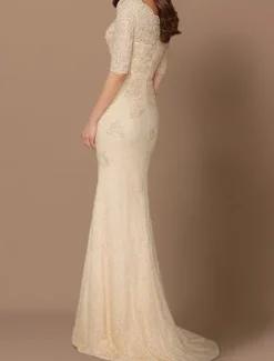 Mermaid Mother of the Bride Dress Wedding Guest Plus Size Sexy V Neck Sweep / Brush Train Chiffon Lace Half Sleeve with Lace Appliques free custom size