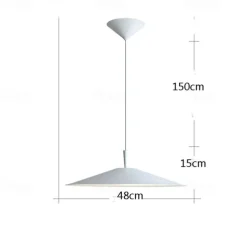 Modern Black Pendant Light LED Light Hanging Lamp Fixtures Dome Metal Lampshade Warm White Light Color 48cm 110-240V