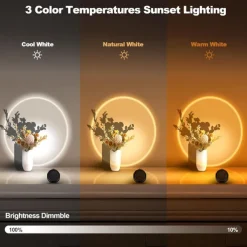 Motion Sensor Wall Light Picture Light Battery Powered/USB Rechargeable LED Wall Lamp Stepless Dimming 360 Degree Rotating Wireless Wall Lights Bedroom Living Room Gallery Decoration 1/2pcs