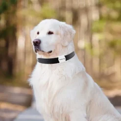 New Mini GPS Tracking Locator, Small Portable Bluetooth Intelligent Anti-Lost Device for Luggages/Kid/Pet/Cat/Dog, Dog Paw Design Waterproof Bluetooth Alarms Device