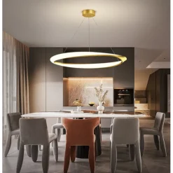 New Net Red Restaurant Chandelier Simple Modern Ring Dining Room Lamp Creative Personalized Household Table Lamp