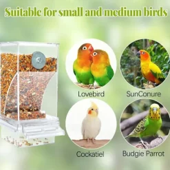No Mess Automatic Bird Feeder,Automatic No-Spill Transparent Bird Feeder - Anti-Splash and Mess-Free Feeding Box