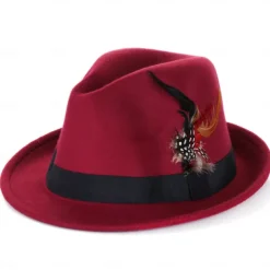 Oktoberfest Tyrolean Hat Alpine Hat Bavarian German Munich Wiesn Men's Women's Traditional Style Cloth