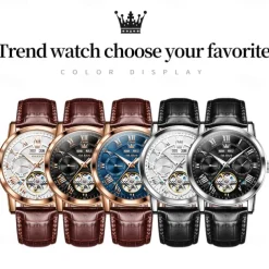 OLEVS Men Mechanical Watch Fashion Casual Wristwatch Automatic Self-winding Luminous Calendar Date Week Leather Watch