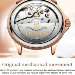 OLEVS Women Mechanical Watch Creative Minimalist Fashion Casual Analog Wristwatch Automatic Self-winding Luminous Calendar Waterproof Ceramic Watch for Women Gift Women Watches