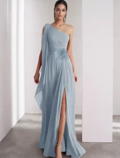 One Shoulder A-Line Chiffon Feather Evening Gown Elegant Dress Formal Floor Length Sleeveless Ruched Shawl