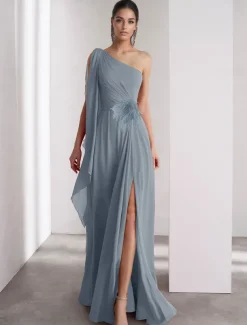 One Shoulder A-Line Chiffon Feather Evening Gown Elegant Dress Formal Floor Length Sleeveless Ruched Shawl
