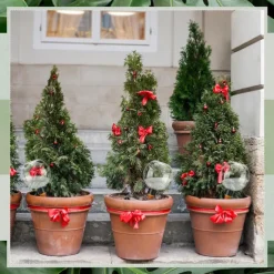 17oz Automatic Plant Watering Globes Plastic Self Watering Plant Waterer Watering Bulbs for Indoor Plants Drip Irrigation Plant Watering Devices with Slow Release Control for Garden