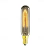 1pc 40 W E14 T10 Warm White 2300 k Retro / Dimmable / Decorative Incandescent Vintage Edison Light Bulb 220-240 V