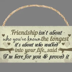 1pc, Funny Cats Signs Wooden Plaques With Sayings