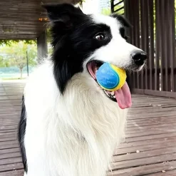 1pc Pet Dog Ball Toy Squeaky Toy For Dog Chew Toy Puppy Molar Toy Dog Interactive Toys Random Color