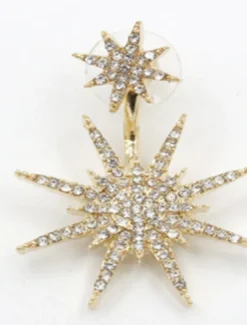 1PC Women's Earrings Chic & Modern Party Star Earring / Wedding / Gold / Silver / Fall / Winter