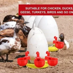 10pcs Chicken Drinking Cup Automatic Drinker Chicken Feeder Plastic Poultry Waterer Drinking Water Feeder for Chicks Duck Goose Quail