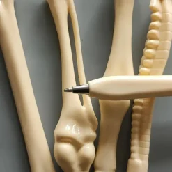 5Pcs Creative Novelty Bone Shape Ballpoint Pens Gift Stationery for School Office Writing Supplies