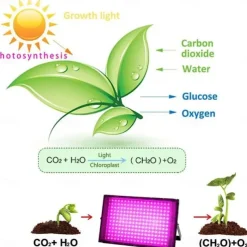1/2pcs LED Plant Grow Lights Full Spectrum Bulb Phytolamp for Plants Light Hydroponic Lamp Greenhouse Flower Seed Grow Tent