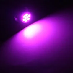 10pcs 4pcs 2pcs 0.8W LED Light Bulb 100lm T10 8 LED Beads SMD 2835 for License Plate Dome Map Light 12V