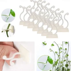 20pcs Plant Climbing Wall Fixture Clips, Vine Fixer Invisible Self-Adhesive Hook Plant Vine Traction Wall Vines Fixture Wall Sticky Hook Vines Fixing Clip Vines Holder