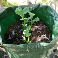 4pcs Potato Grow Bags 10 Gallon Grow Bags With Flap And Handles Plant Container Planter Pot For Potato Tomato And Vegetables Green