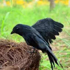 3pcs Realistic Black Crow Feather Halloween Decoration Props Set - Spooky Indoor and Outdoor Decor