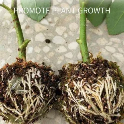 5pcs Reusable Plant Rooting Device Plant Rooting Grow Box High Pressure Propagation Ball Grafting Device Botany Root Controller Garden Plant Rooter Box For Rose Tree Fruit Bush Magnolia