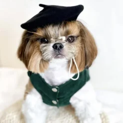 Pet Mini Beret Teddy Dog Painter Wool Hat Cat Pet Photo Headwear