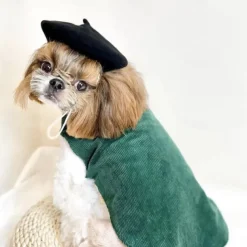 Pet Mini Beret Teddy Dog Painter Wool Hat Cat Pet Photo Headwear