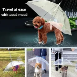 Pet Supplies Pet Umbrella Teddy Small Dog Walking Umbrella With Leash Dog Leash