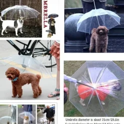 Pet Supplies Pet Umbrella Teddy Small Dog Walking Umbrella With Leash Dog Leash