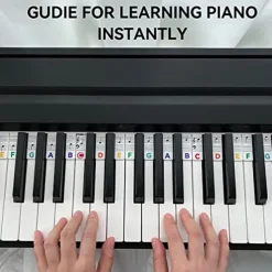 Piano Notes Guide For Beginner Removable Piano Keyboard Note Labels For Learning 88-Key Full Size Made Of Silicone No Need Stickers Reusable For Kids Student