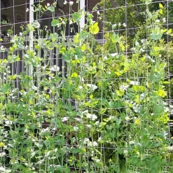 Plant Trellis Netting, Heavy-Duty Polyester Grow Net, Garden Trellis Netting with Square Mesh for Climbing Plants, Vegetables, Fruits, and Flowers