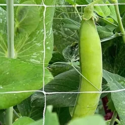 Plant Trellis Netting, Heavy-Duty Polyester Grow Net, Garden Trellis Netting with Square Mesh for Climbing Plants, Vegetables, Fruits, and Flowers