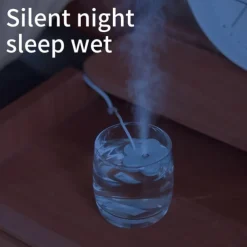 Portable Mist Maker Cool Mist Air Humidifier Mini USB Flower Humidifier Bottle Aroma Diffuser for Home Office Room