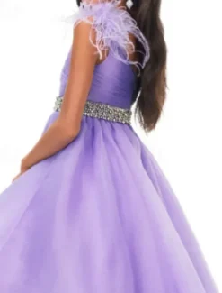 Princess Sweep / Brush Train Flower Girl Dress Quinceanera Juniors Cute Prom Dress Organza with Feathers / Fur Tiered Plisse Fit 3-16 Years dress to impress