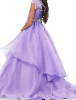 Princess Sweep / Brush Train Flower Girl Dress Quinceanera Juniors Cute Prom Dress Organza with Feathers / Fur Tiered Plisse Fit 3-16 Years dress to impress