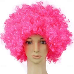 Rainbow Clown Wig Costume Accessories Short Colorful Afro Hair Wig for Kid Women Men Adults 70s 80s Carnival Parties Carnivals Pretend Play