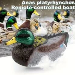 Realistic Green Head Duck Model Toy Boat Dual Version Sealed Waterproof Remote Control Boat For Kids Outdoor Pond Simulation Remote Control Boat