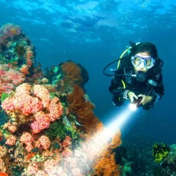 Scube Diving Flashlight IP68 WaterProof Underwater Rechargeable 1850 Battery Flashlight, Professional Diving Flashlight for Indoor and Outdoor Use