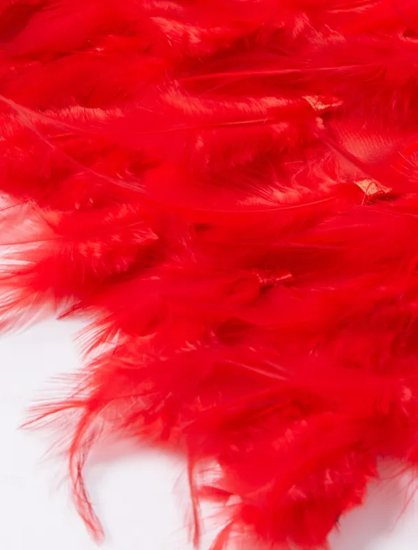 Sheath Evening Gown Elegant Dress Formal Fall Sweep / Brush Train Sleeveless Cowl Neck Chiffon with Feather Ruched Slit