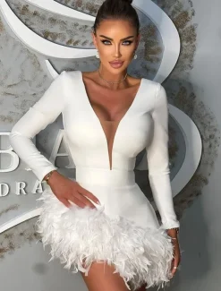 Sheath Homecoming Dresses Elegant Dress Holiday Homecoming Short / Mini Long Sleeve V Neck Polyester with Feather dress to impress