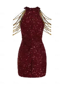 Sheath Sequin Cocktail Dresses Party Dress Holiday Homecoming Dress Short / Mini Sleeveless Jewel Neck dress to impress