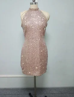 Sheath Sequin Cocktail Dresses Party Dress Holiday Homecoming Dress Short / Mini Sleeveless Jewel Neck dress to impress