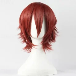 Short Anime Straight Synthetic Wigs with Bangs High Temperature Resistance Anime Party Costume Cosplay Wig for Men and Women