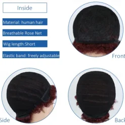 Short Curly Human Hair Wigs for Women 100% Brazilian Virgin Short Human Hair Pixie Cut Wigs Short bob Curly Non Lace Human Hair Wigs