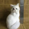 Simulated Animal Cat Creative Decoration Decoration Decoration Simulated Cat Model Squatting Cat Persian Cat Flower Cat Squatting Cat Little Cat