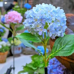 Simulation Hydrangea Solar Ground Lamp Outdoor Waterproof Garden Lawn LED Lights, Realistic LED Flowers Powered Decorative Ground Solar Flower Lights for Lawn Decoration Yard Backyard Decor Gift