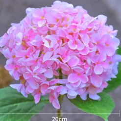 Simulation Hydrangea Solar Ground Lamp Outdoor Waterproof Garden Lawn LED Lights, Realistic LED Flowers Powered Decorative Ground Solar Flower Lights for Lawn Decoration Yard Backyard Decor Gift