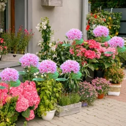 Simulation Hydrangea Solar Ground Lamp Outdoor Waterproof Garden Lawn LED Lights, Realistic LED Flowers Powered Decorative Ground Solar Flower Lights for Lawn Decoration Yard Backyard Decor Gift