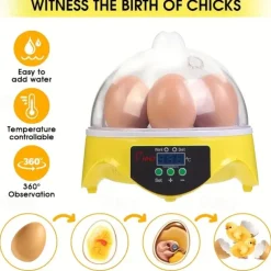 Small Family Use Egg Incubator Automatic Temperature Control Intelligent Incubator 7-egg Capacity Suitable for Chickens Ducks Turtles Birds