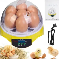 Small Family Use Egg Incubator Automatic Temperature Control Intelligent Incubator 7-egg Capacity Suitable for Chickens Ducks Turtles Birds